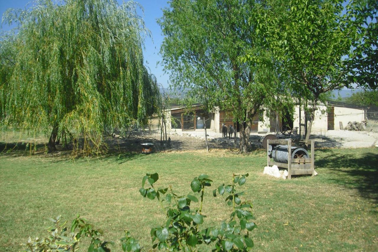 Lou Mas Li Pitchoun "L'Olivade" Apartment Gordes Luaran gambar