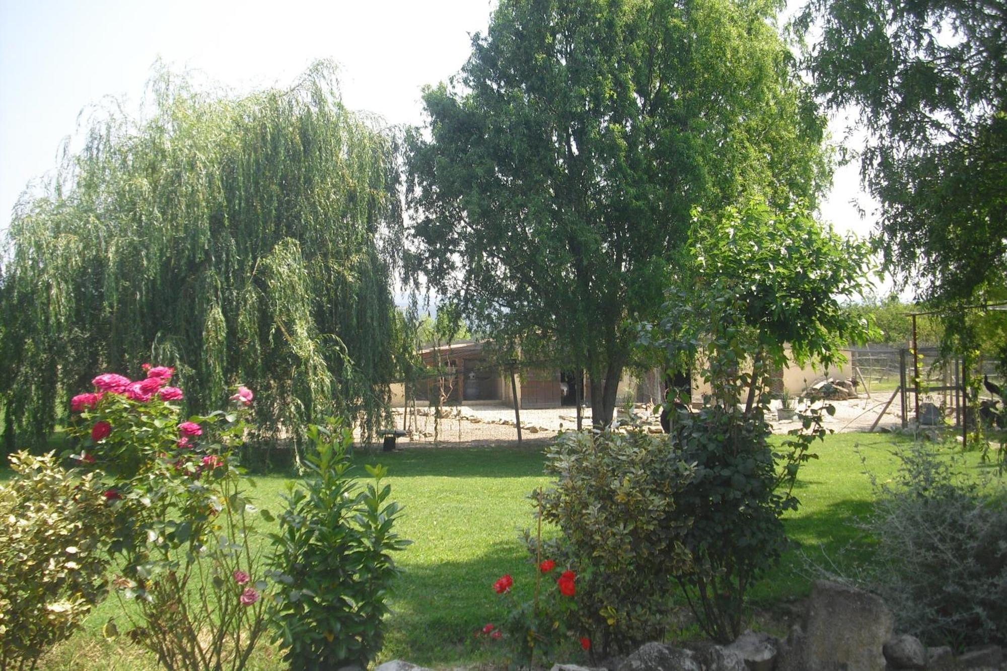 Lou Mas Li Pitchoun "L'Olivade" Apartment Gordes Luaran gambar